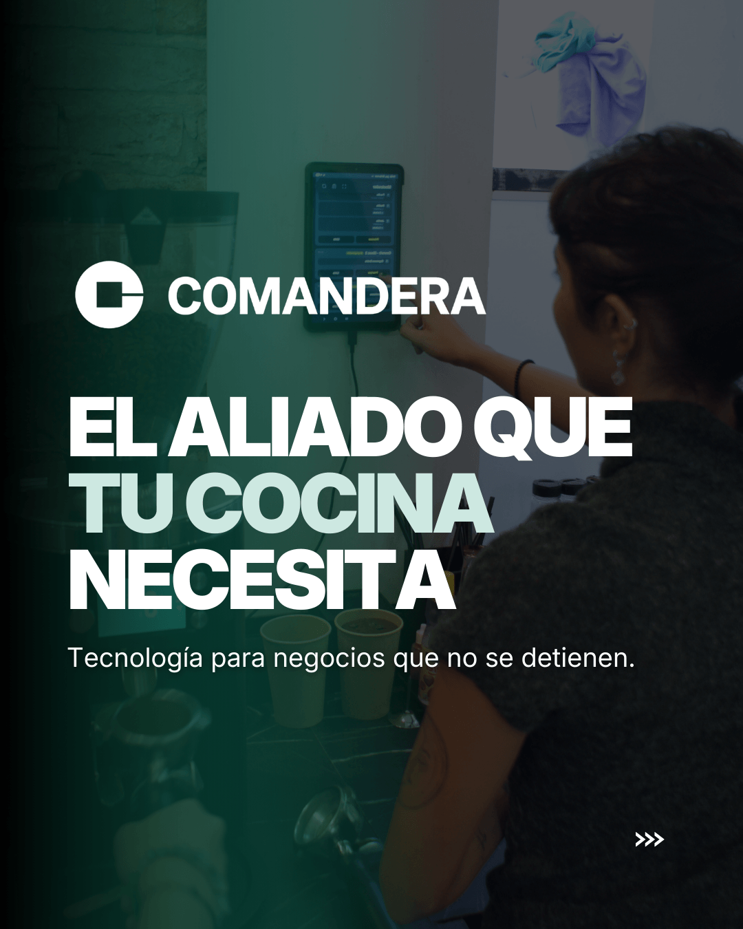 Contenido